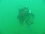 Coll NL 097